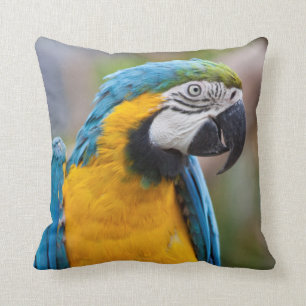 Coussin bleu et jaune d'ara