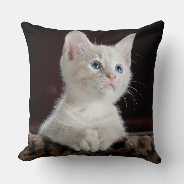 Coussin Bleu teint blanc Kitten (Recto)