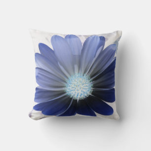 Coussin bleu vif de la marguerite africaine