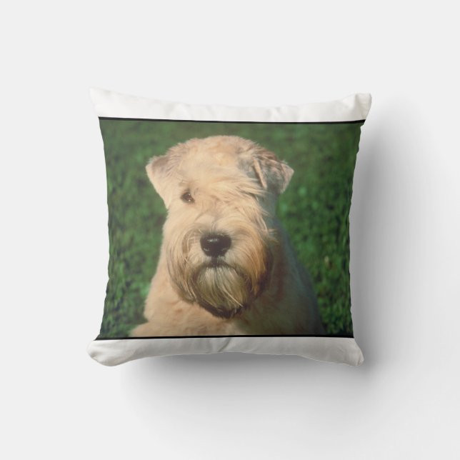 Coussin blond comme les blés doucement enduit de (Recto)