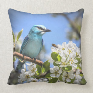 Coussin Bluebird de montagne