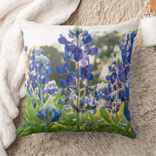 Coussin Bluebonnets Blue Flowers Texas texan Floral