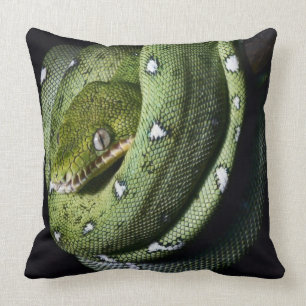 Coussin Boa vert de serpent vert d'arbre en Bolivie