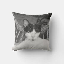 Bonjour, Meow...