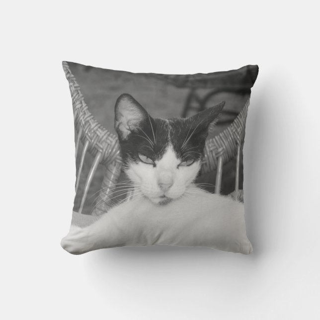 Coussin Bonjour, Meow... (Recto)