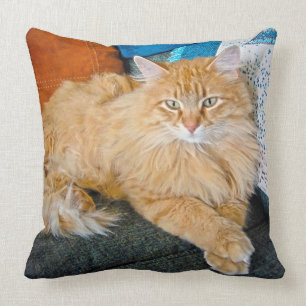 Coussin Boppy