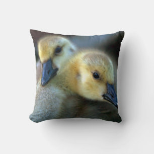 Coussin Bord du lac