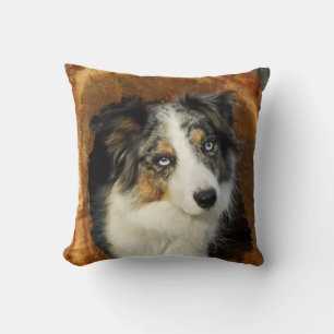 Coussin Bordure Collie chien mignon