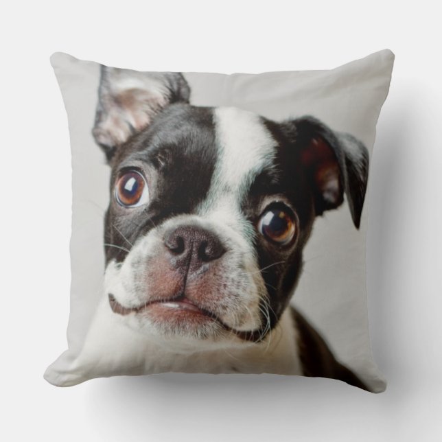 Coussin Boston Terrier (Recto)