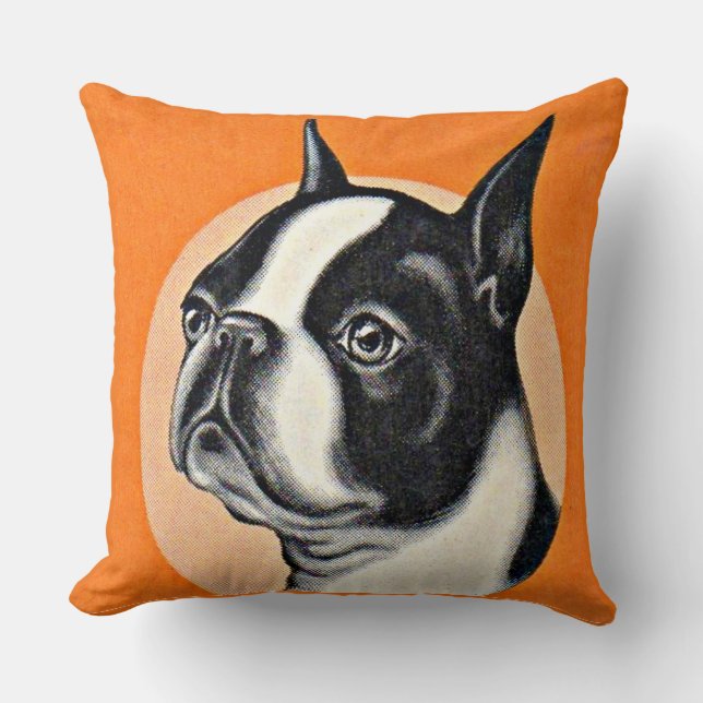 Coussin Boston terrier (Recto)