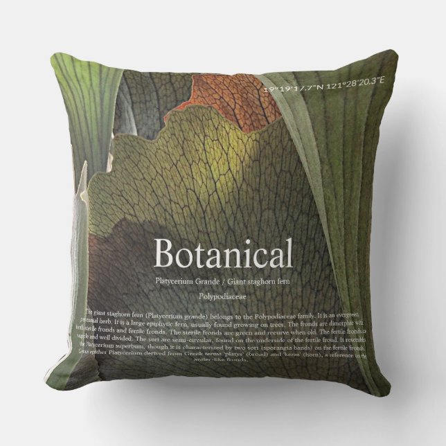 Coussin Botanical interior. (Recto)