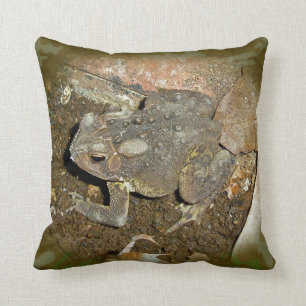 Coussin Bouffon commun