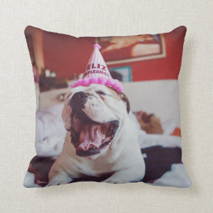 Coussin Bouledogue britannique des images de Getty