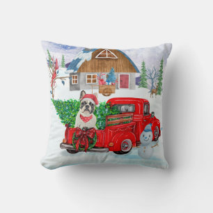 Coussin Bouledogue français dans un camion de livraison de