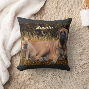 Coussin Bouledogue français et Mastiff amis
