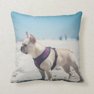 Coussin Bouledogue français sur la plage
