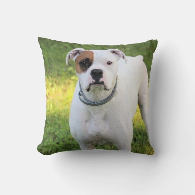 Coussin Boxer (Recto)