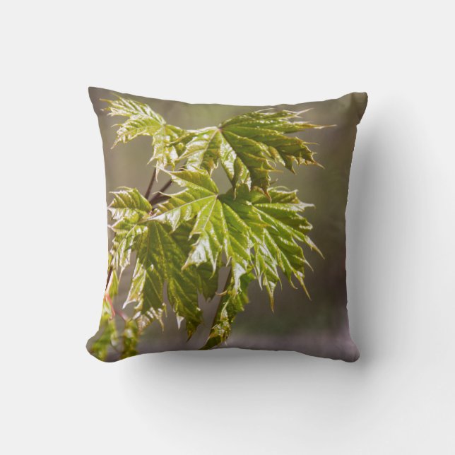Coussin Branche d'érable vert mignon avec petits feuilles (Recto)