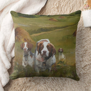 Coussin Bretagne Espagne