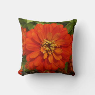 Coussin Bright Red Zinnia Trend