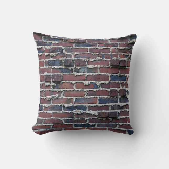 Coussin Brique de scories avec le carreau pleurant de (Recto)