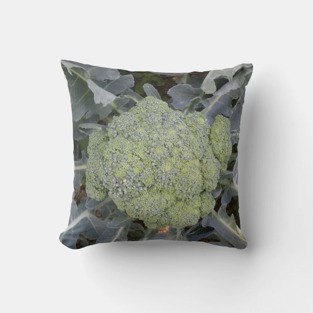Coussin Broccoli (Recto)
