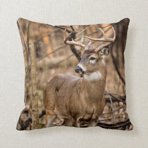 Coussin Buck de cerf à queue blanche
