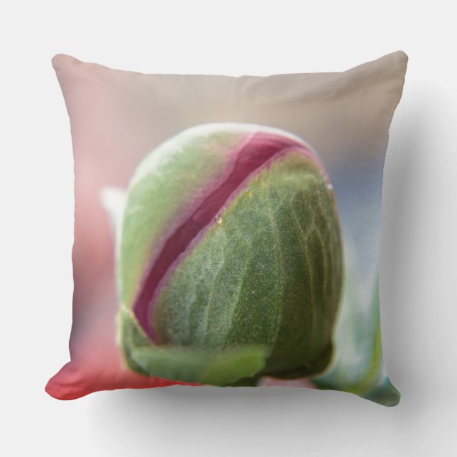 Coussin Bud d'une Peony/Pfingstrosen (Recto)