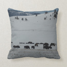 Coussin Buffalo frôlant sur la neige a couvert la montagne