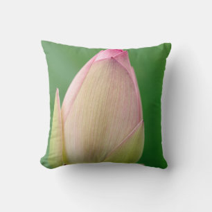 Coussin Bulbe de nénuphar non ouvert, Jardin botanique de 