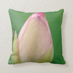 Coussin Bulbe Lily de l'eau non ouverte, Durban Botanique