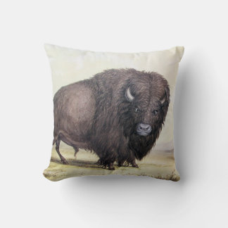 Coussin Bull Buffalo