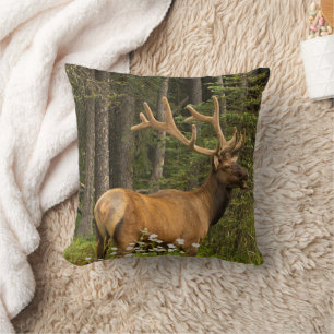 Coussin Bull Elk en Velvet, Canada