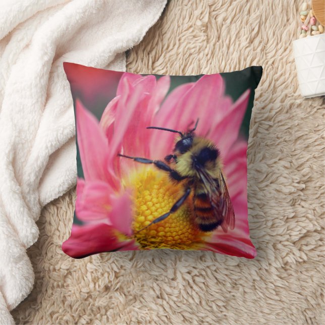 Coussin Bumble Bee On Rose Daisy Flower Close Up (Couverture)