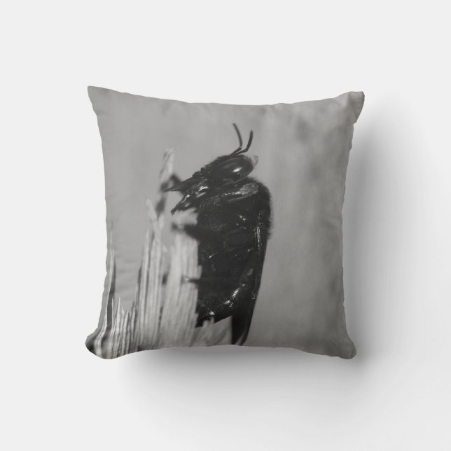 Coussin Bumblebee (Recto)