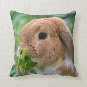 Coussin Bunny de Mini Lop