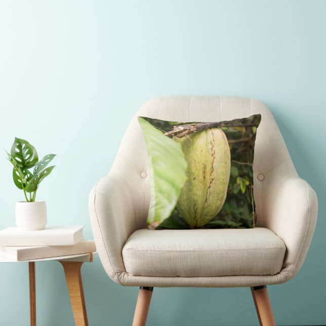 Coussin cabosse de cacao (Chaise)