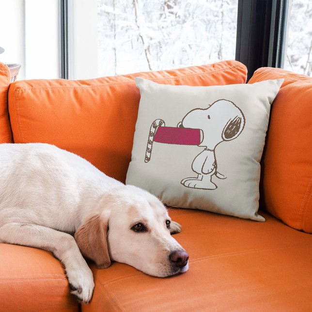 Coussin cacahuètes | Vacances (Pillow on couch)