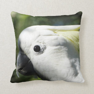 Coussin Cacatoès crêté de soufre