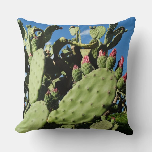 Coussin Cactus du Saguaro, Cactus Plantes (Recto)
