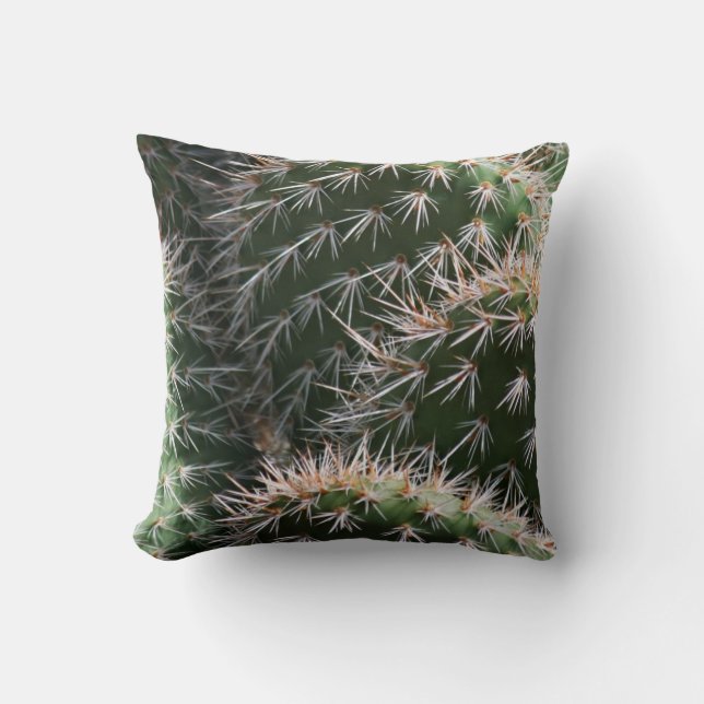 Coussin Cactus et épines de désert (Recto)