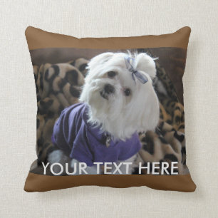 Coussin Cadeaux maltais