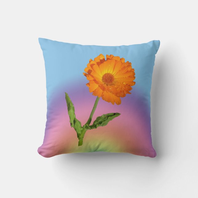 Coussin - Calendula et Rainbow (Recto)