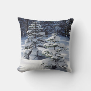 Coussin Californie, Montagnes de la Sierra Nevada 8
