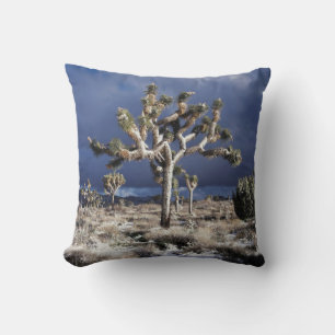 Coussin Californie, Parc national de Joshua Tree