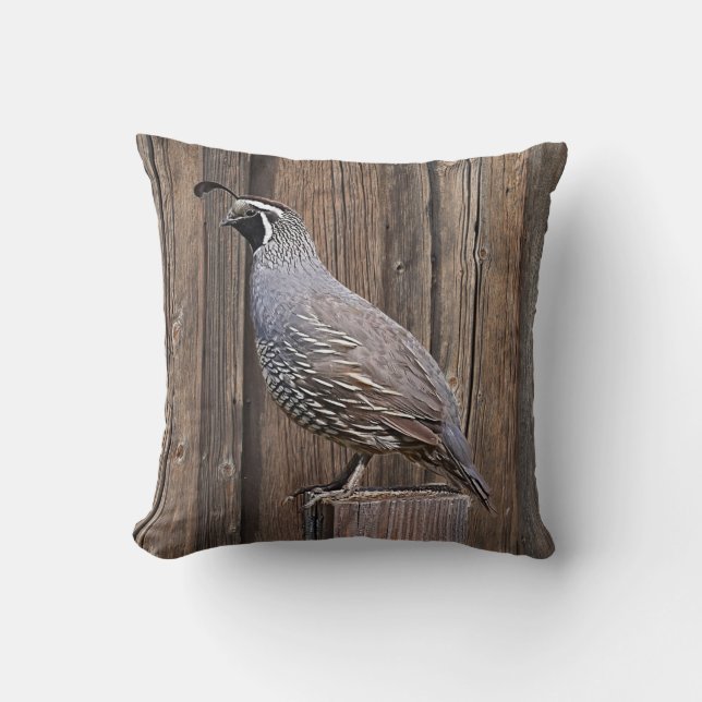 COUSSIN CALIFORNIE QUAIL SUR BARNBOUR (Recto)