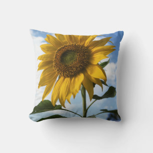 Coussin Californie, Un Tournesol Mammouth (Helianthus) 4
