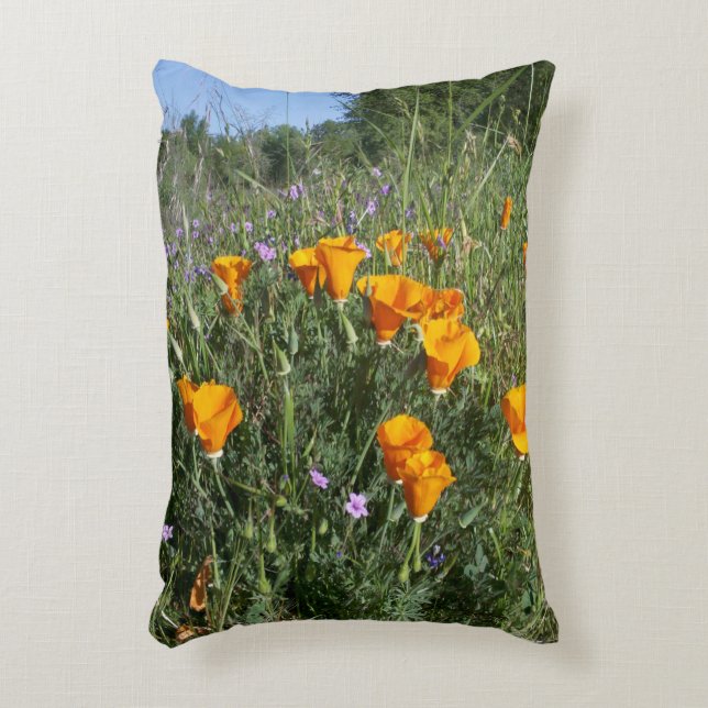 Coussin californien du pavot (Devant(Vertical))