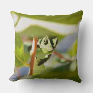 Coussin Caméléon secret