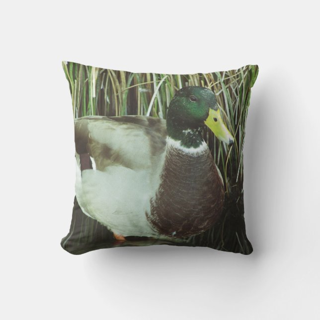 Coussin Camion de Mallard Photo Homme Lake Wildlife Bird (Recto)